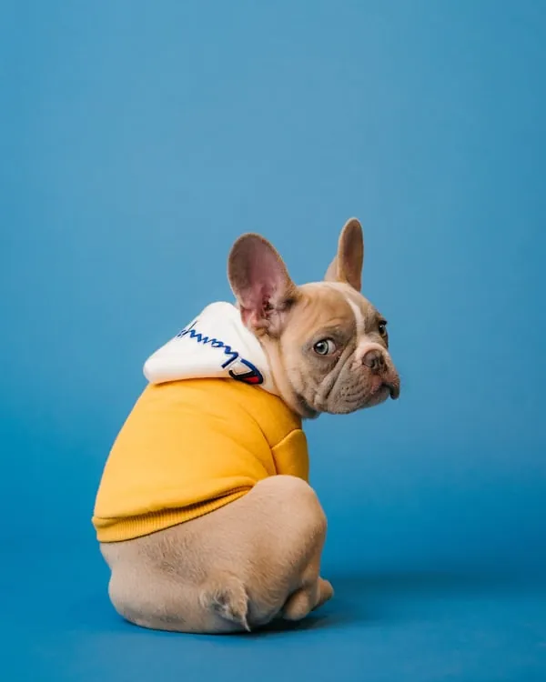 Eureka Pet Co